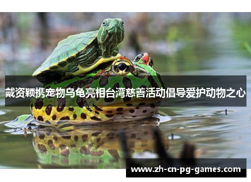 戴资颖携宠物乌龟亮相台湾慈善活动倡导爱护动物之心 戴资颖携宠物乌龟亮相台湾慈善活动倡导爱护动物之心